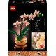 LEGO® 10343 Botanicals Mini orchidėja