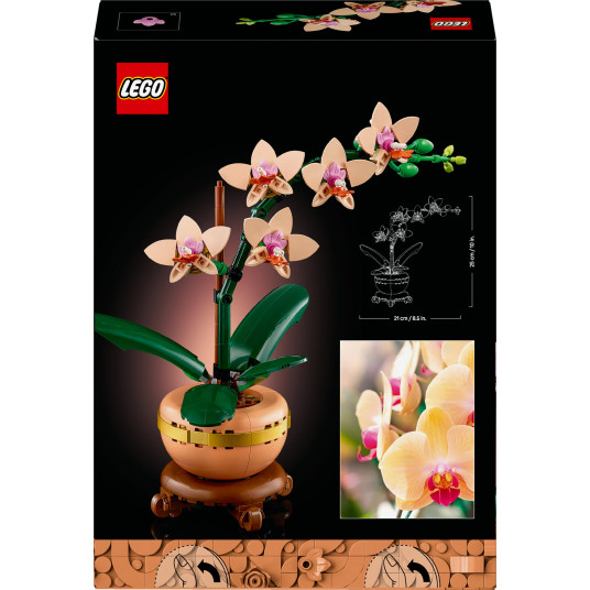 LEGO® 10343 Botanicals Mini orchidėja