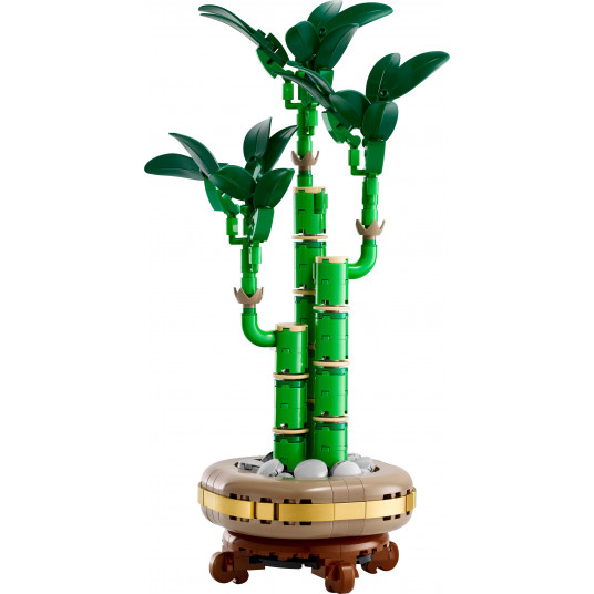 LEGO® 10344 Botanicals Laimę nešantis bambukas