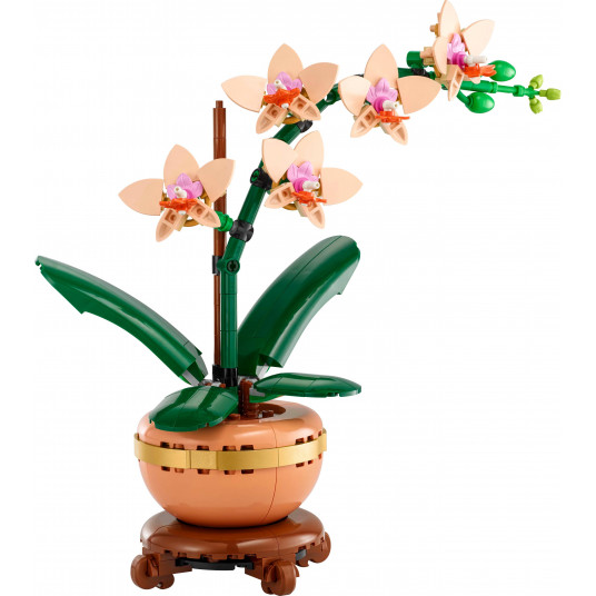 LEGO® 10343 Botanicals Mini orchidėja