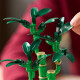 LEGO® 10344 Botanicals Laimę nešantis bambukas