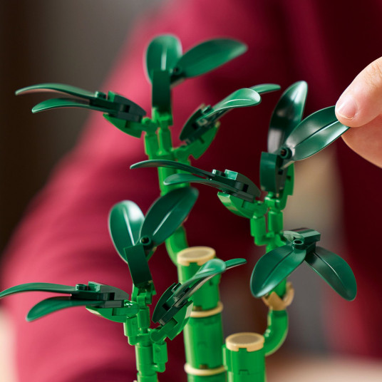 LEGO® 10344 Botanicals Laimę nešantis bambukas