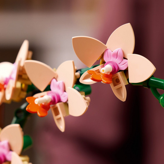 LEGO® 10343 Botanicals Mini orchidėja