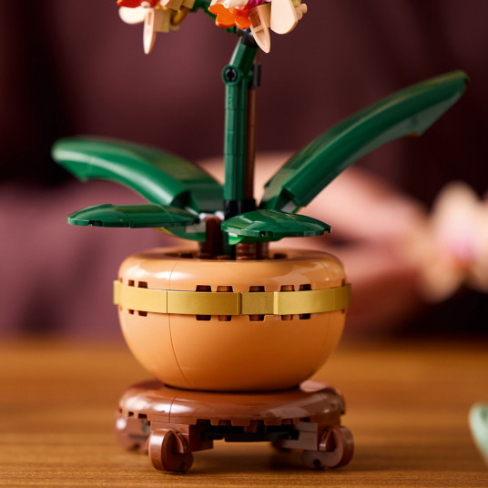 LEGO® 10343 Botanicals Mini orchidėja