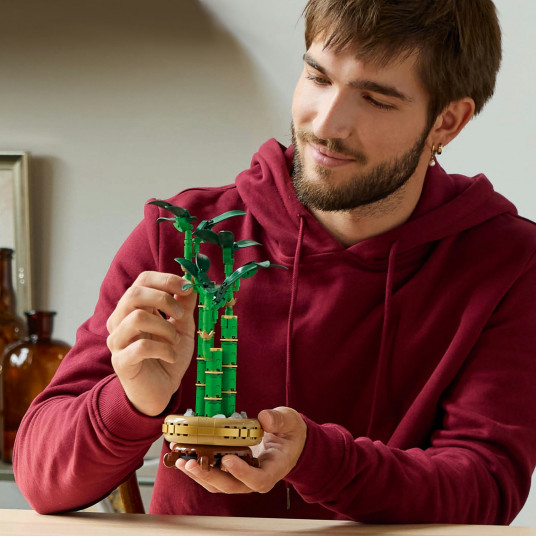 LEGO® 10344 Botanicals Laimę nešantis bambukas