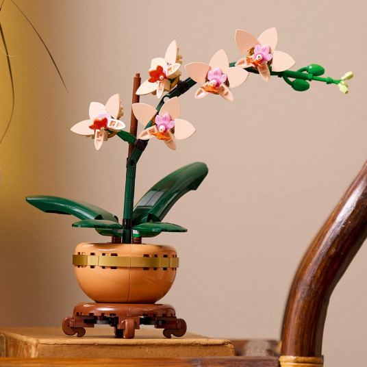 LEGO® 10343 Botanicals Mini orchidėja