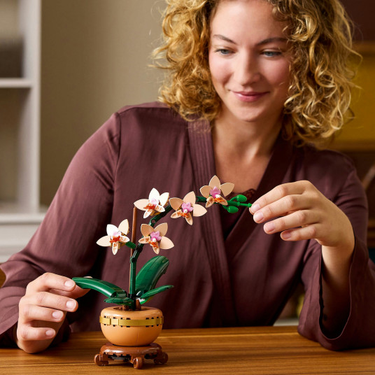 LEGO® 10343 Botanicals Mini orchidėja