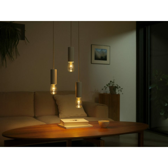 Philips Hue Lightguide Edison -älylamppu, E27, ST72
