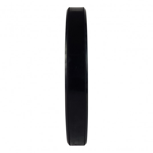 Weight plate TUNTURI Training Bumper Plate, 50 mm, 15 kg