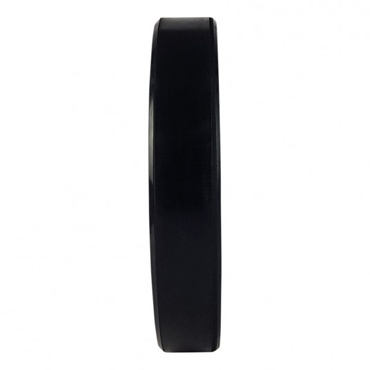 Weight plate TUNTURI Training Bumper Plate, 50 mm, 20 kg