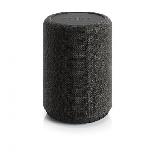 Garso kolonėlė Audio Pro G10 Dark Grey