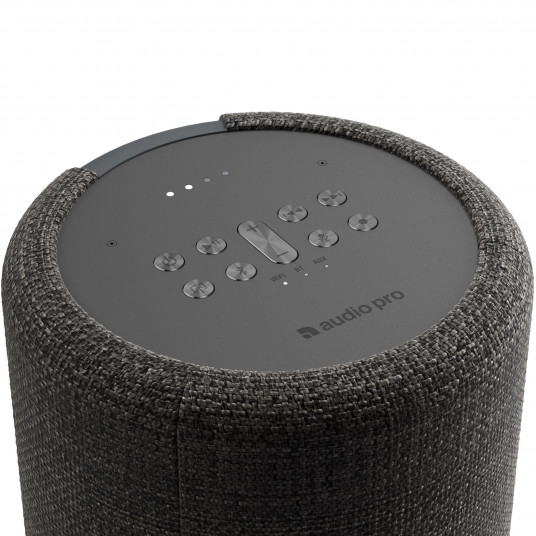 Garso kolonėlė Audio Pro G10 Dark Grey