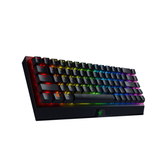 RAZER BlackWidow V3 Mini HyperSpeed (Yellow Switch) žaidimų klaviatūra US RZ03-03890100-R3M1
