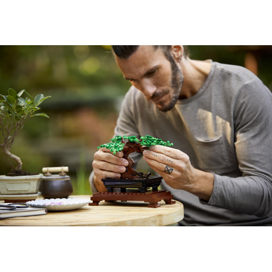 LEGO® 10281 ICONS Bonsai medelis