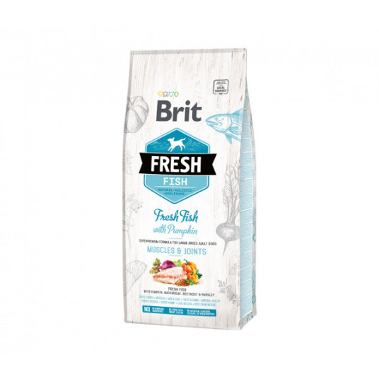 Brit Fresh Fish with Pumpkin Adult Large sausas maistas didelių veislių šunims su žuvimi ir molūgu 12 kg