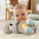 Žaislinis migdukas ūdrytė Fisher Price FXC66