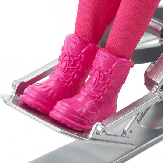Doll - HCN30- BARBIE -winter sports - PARA ALPINE SKIER