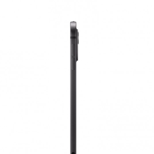 Planšetė Apple iPad Pro 11" M4 WiFi 256GB Space Black MVV83HC/A