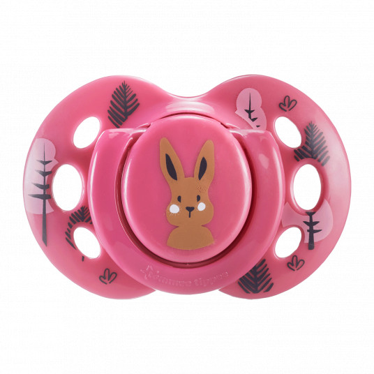 TOMMEE TIPPEE silikoninis čiulptukas FUN 18-36 mėn., 2 vnt., 43340399