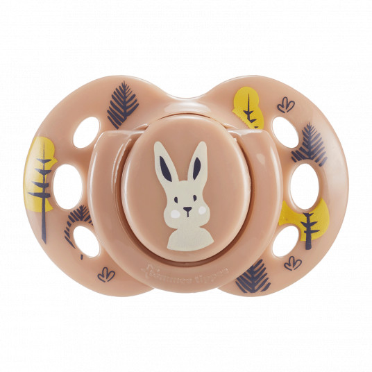TOMMEE TIPPEE silikoninis čiulptukas FUN 18-36 mėn., 2 vnt., 43340399