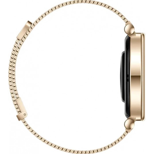 Išmanusis laikrodis Huawei Watch GT4 41mm Gold Milanese / Aurora-B19M