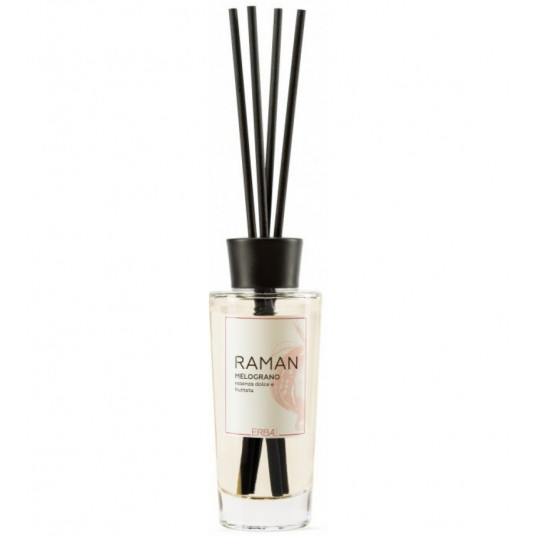 ERBAL namų kvapas su lazdelėmis Raman 100 ml