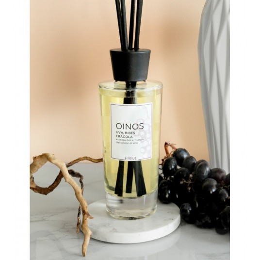 ERBAL namų kvapas su lazdelėmis Oinos 100 ml