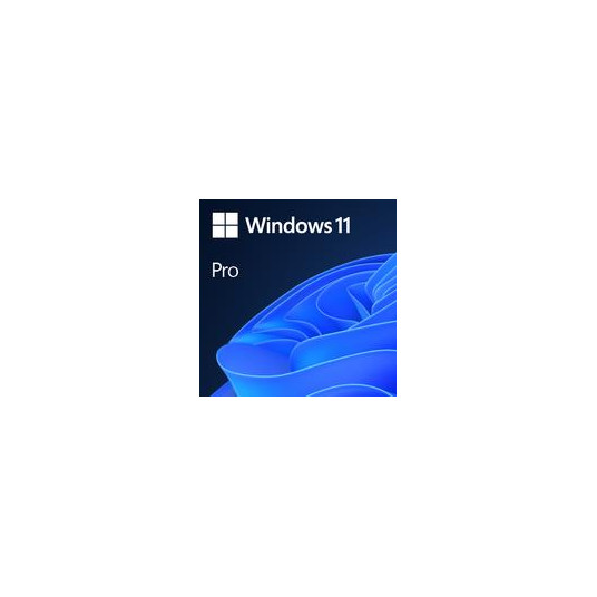 Software|MICROSOFT|Win 11 Pro GGK 64Bit Eng Intl 1pk DSP ORT OEI DVD|Win Pro|OEM|English|4YR-00316