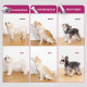 Naminių gyvūnėlių priežiūros rinkinys Petkit Air Clipper 5in1, LM4