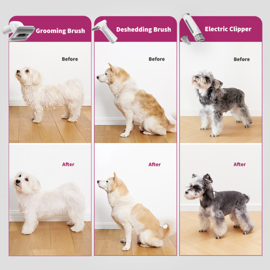 Naminių gyvūnėlių priežiūros rinkinys Petkit Air Clipper 5in1, LM4