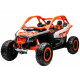 2-person Buggy Can-am Maverick off-road vehicle PA0287