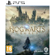Kompiuterinis žaidimas Hogwarts Legacy PS5