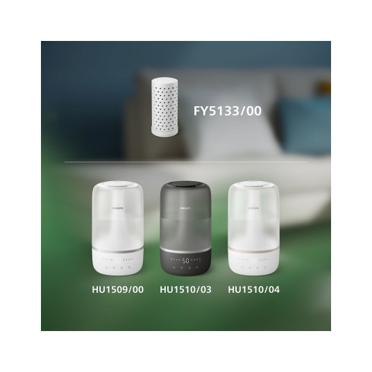 FY5133/00