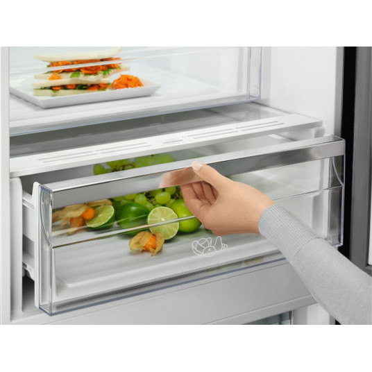 Šaldytuvas Electrolux LNT7ME36G2 