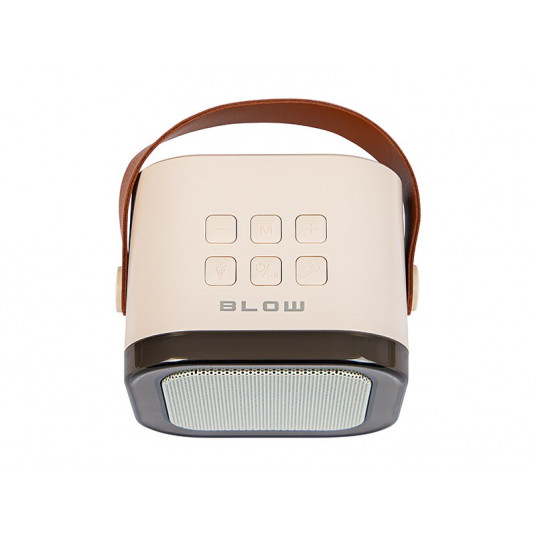 Bluetooth garsiakalbis KARAOKE RGB 10W