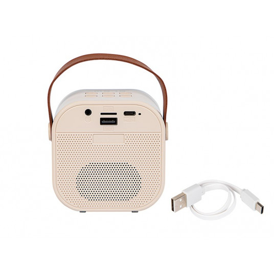 Bluetooth garsiakalbis KARAOKE RGB 10W