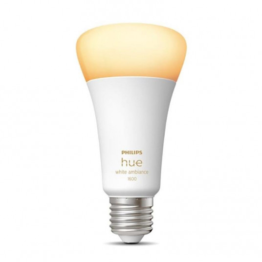 Philips Hue White Amb. E27, 13W bulb