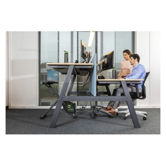 DVIRATIS TRENIRUOKLIS TUNTURI CARDIO FIT D10