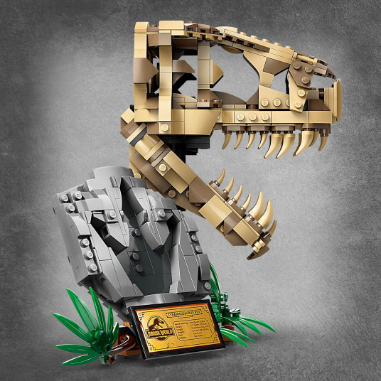 LEGO® 76964 „Jurassic World“ Dinozaurų fosilijos: tiranozauro kaukolė