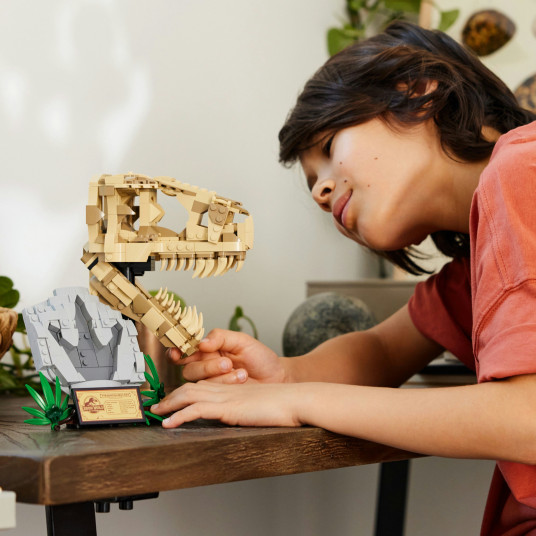 LEGO® 76964 „Jurassic World“ Dinozaurų fosilijos: tiranozauro kaukolė