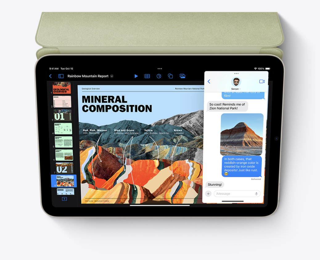 apple ipad mini 19