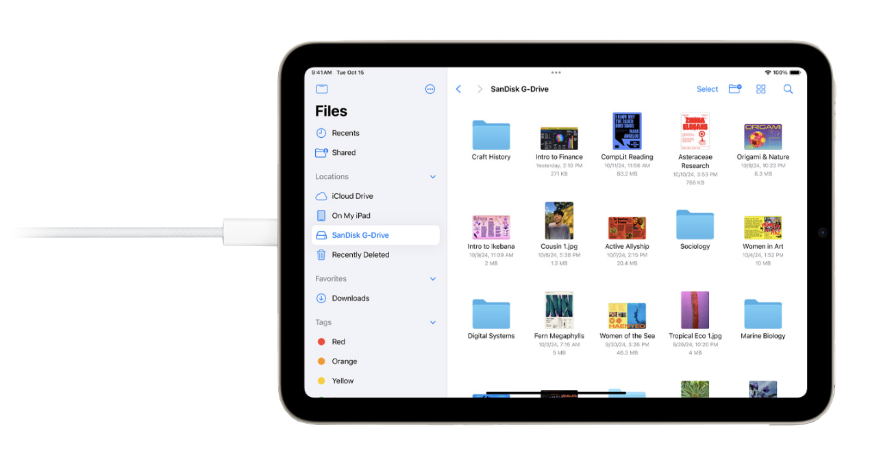 apple ipad mini 24