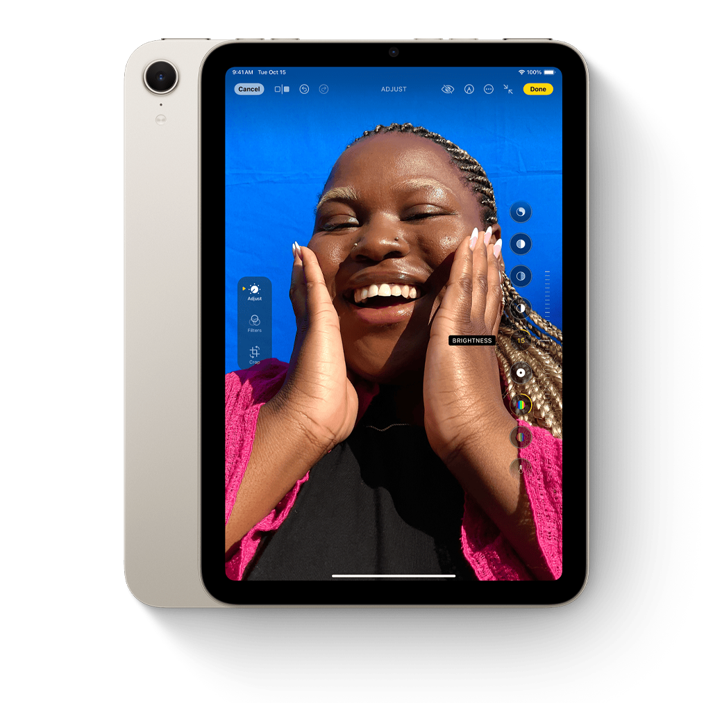 apple ipad mini 28