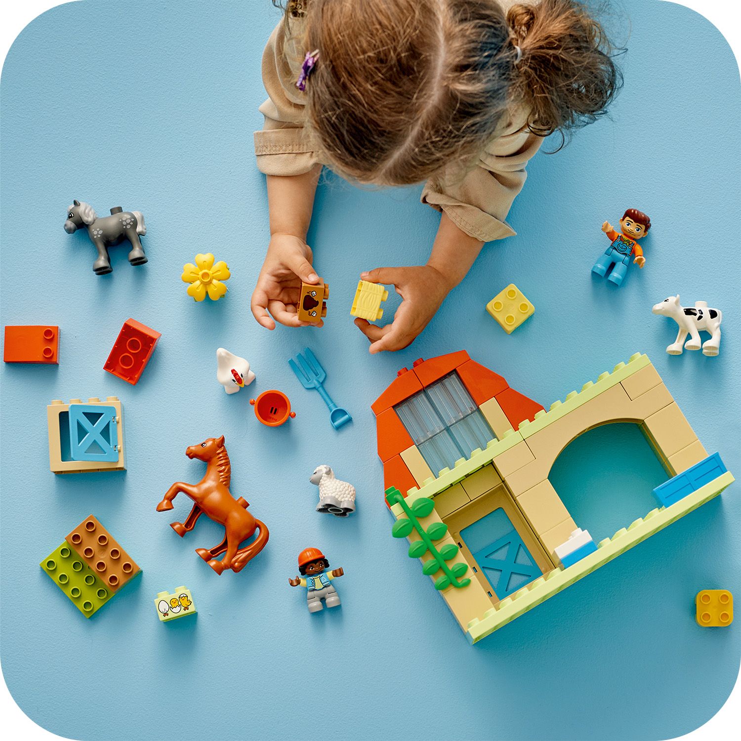yuugo  LEGO® 10416 DUPLO Town Gyvūnų priežiūra ūkyje - TOYBOX.LT