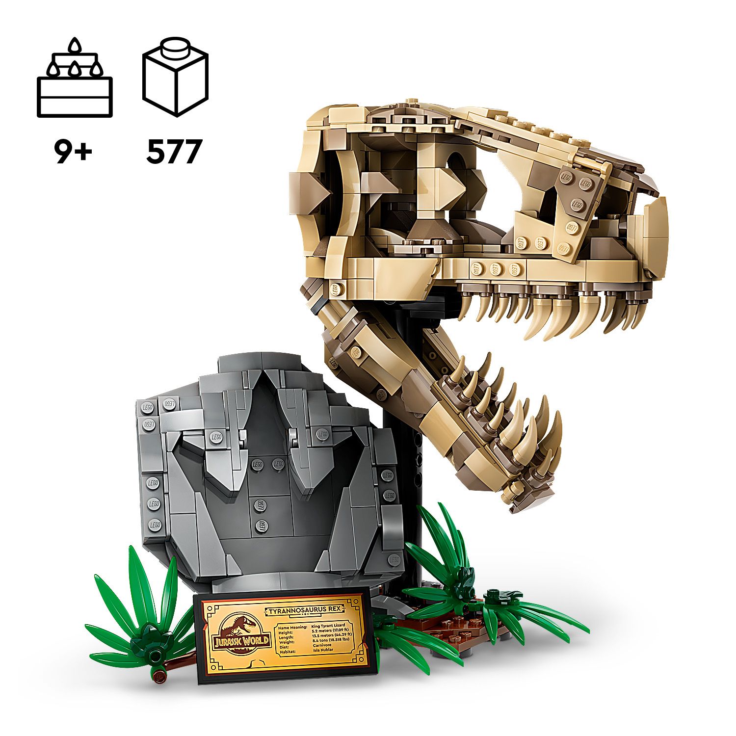 Dinozauro fosilija vyresniems vaikams